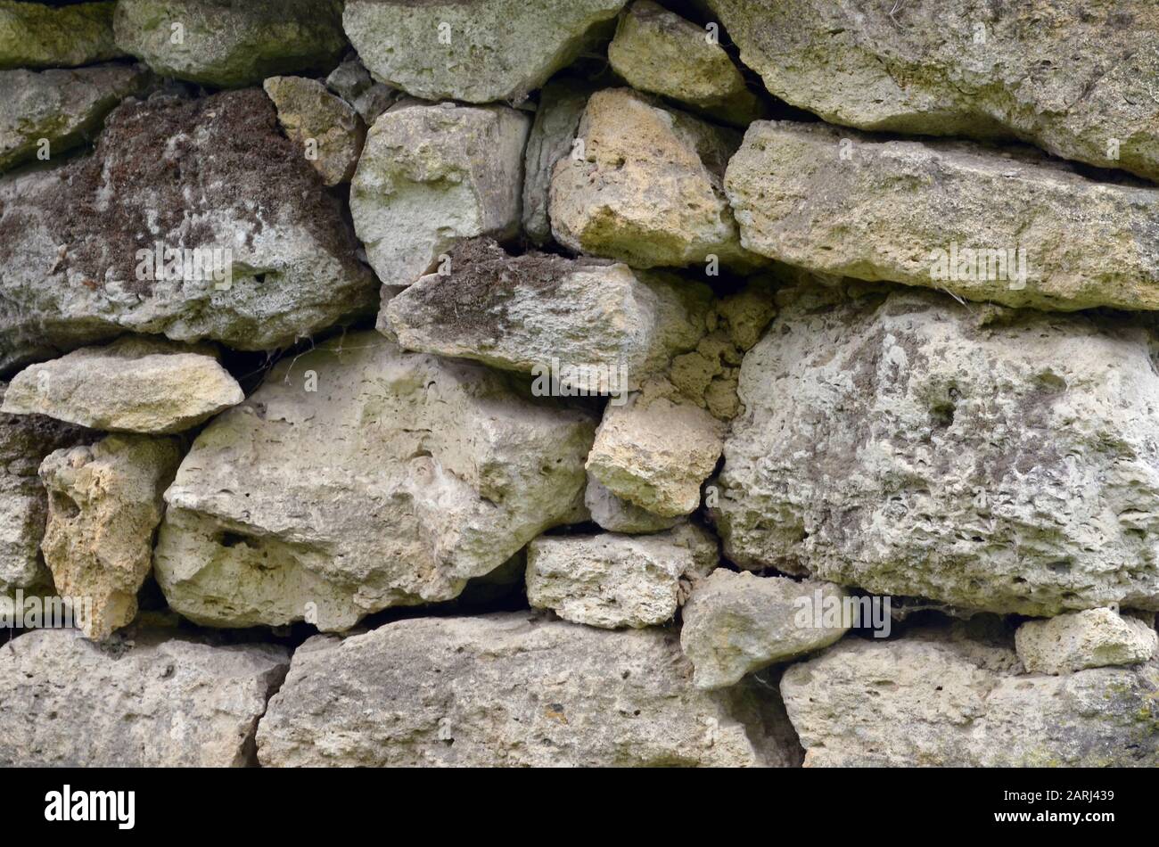 Stone wall of shell rock, lightly covered with moss, folded by hand