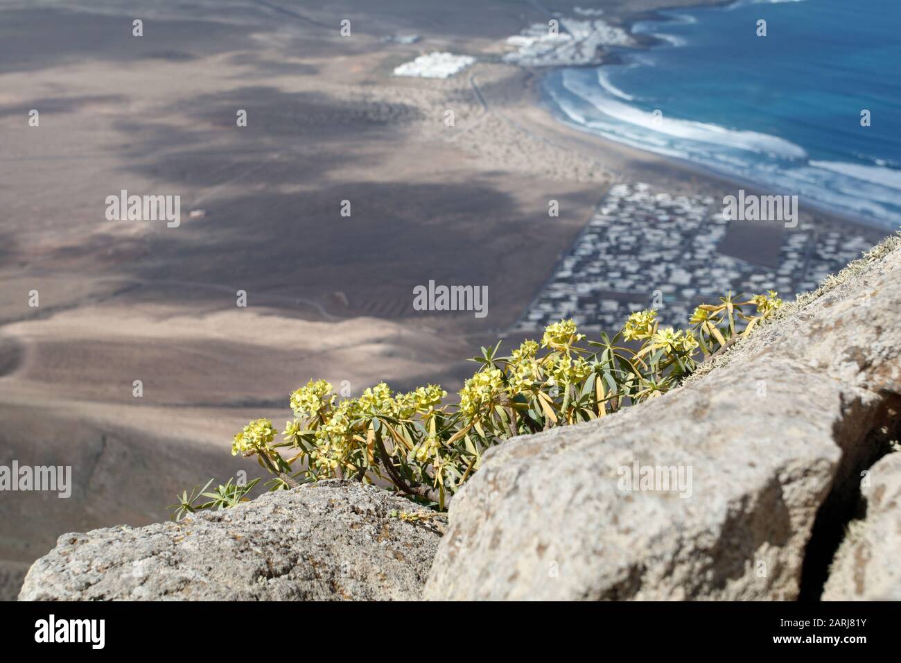 Lanzarote landscape Stock Photo