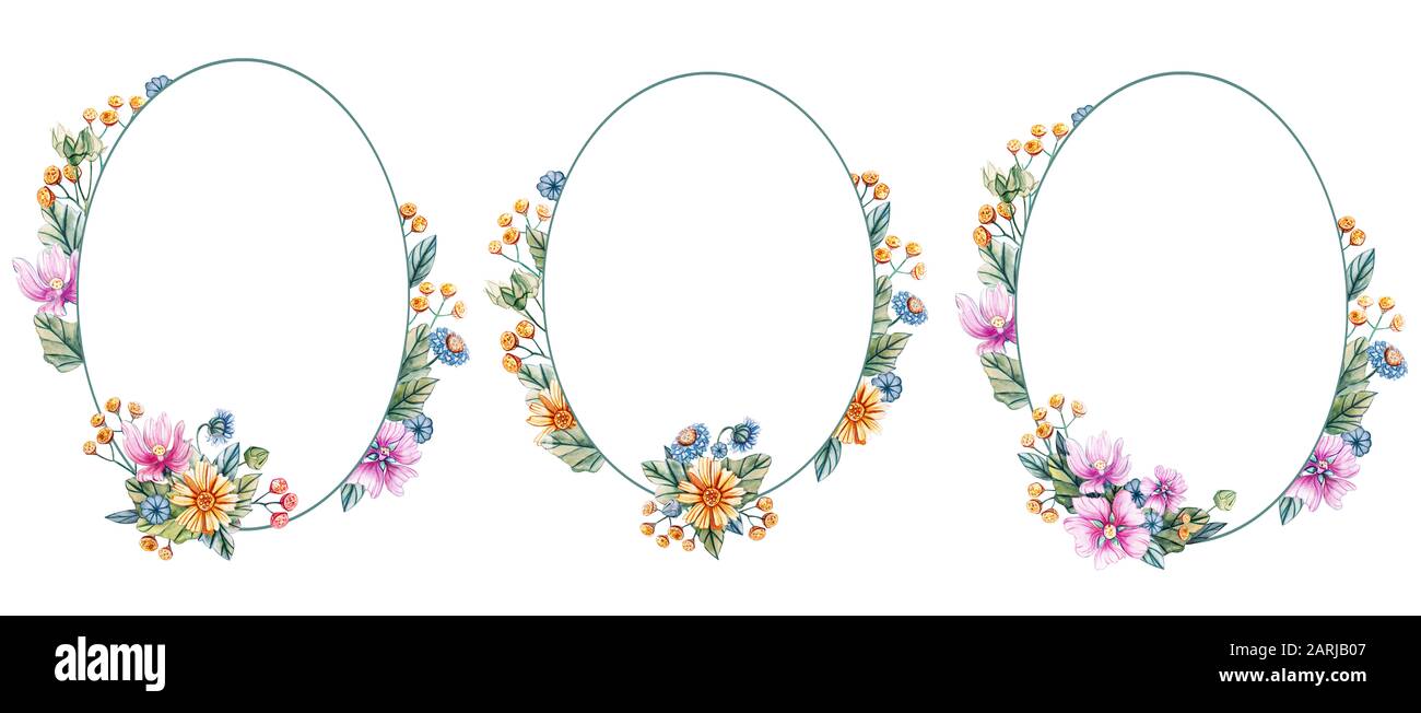 Download Floral Oval Frame With Watercolor Flowers There Is A Place For Text Wildflowers On A White Background Template For Wedding Invitations And Cards Stock Photo Alamy