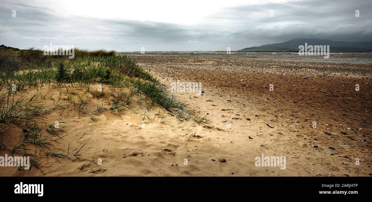 Dunes and grass at Duddon Sands, Solway Firth, England. Stock Photo