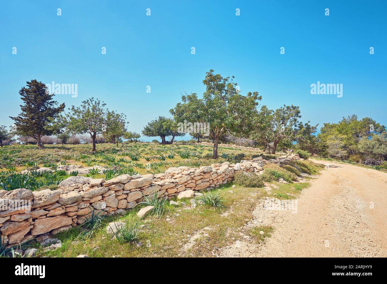 beautiful famous Avakas gorge in western cyprus Stock Photo - Alamy