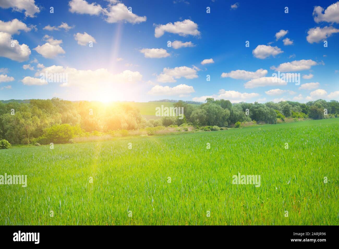 green field and blue sky with light clouds Stock Photo - Alamy