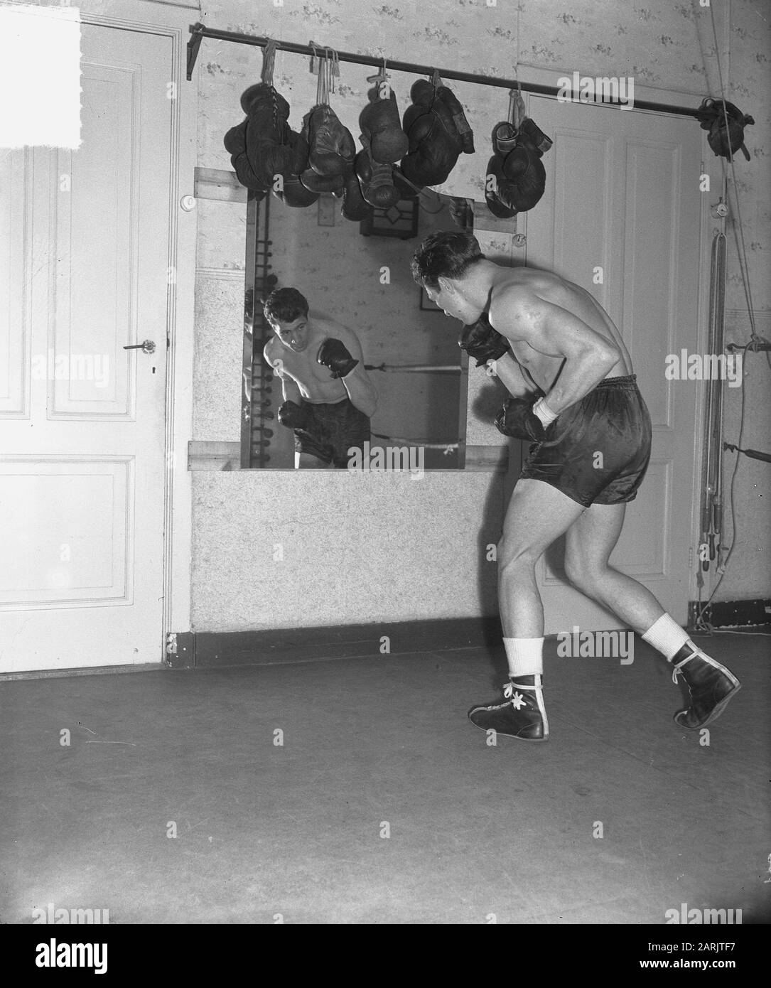 Fight luc van dam hires stock photography and images Alamy