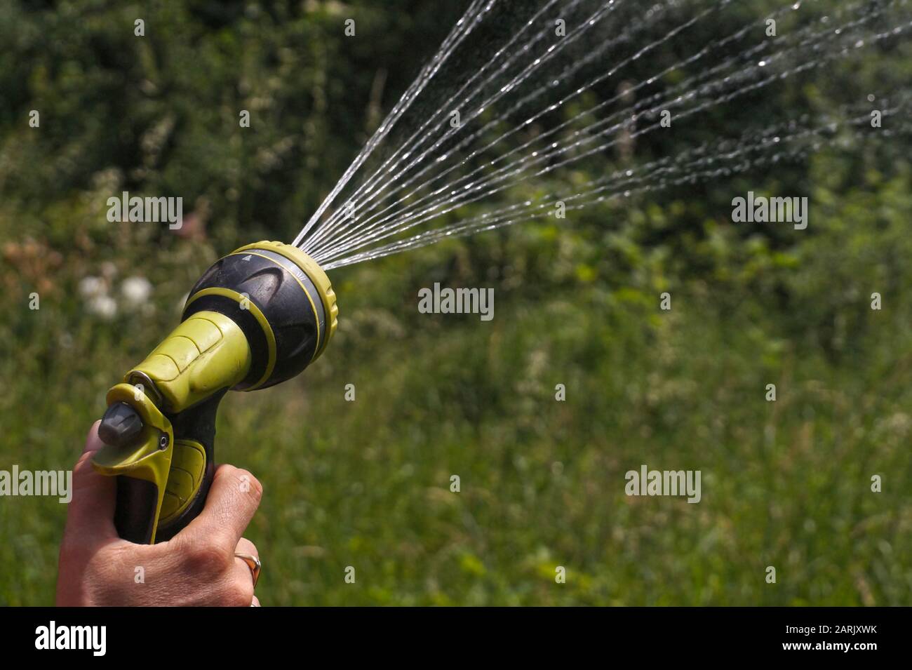 Watering garden plants with a watering gun. Streams of water in the sun