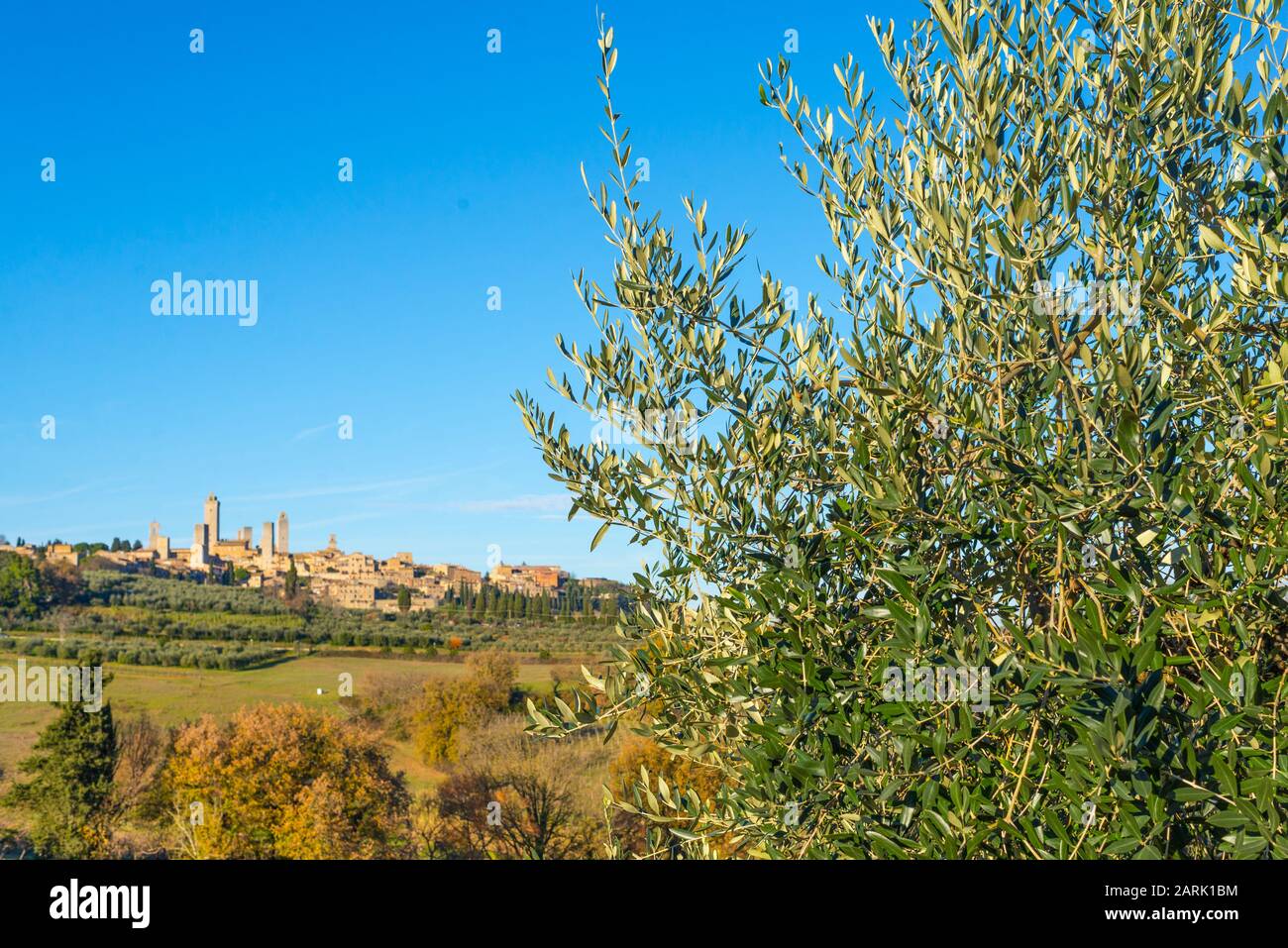 View of the Italian town of San Gimignano, a small walled medieval hill town in Tuscany known as the Town of Fine Towers. Tuscan landscape with hills Stock Photo