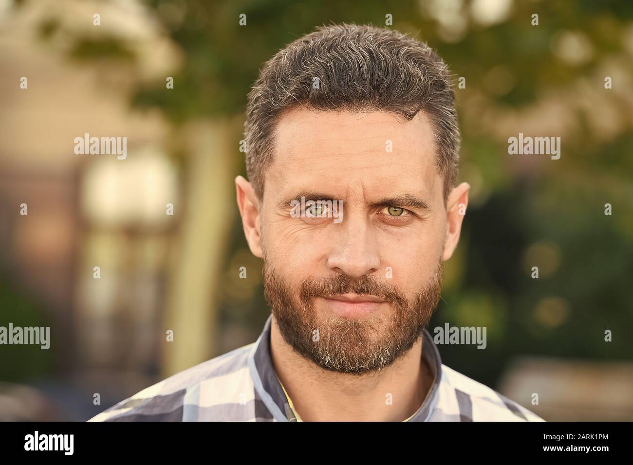 Barber Salon Handsome Bearded Guy Portrait Close Up Facial Hair