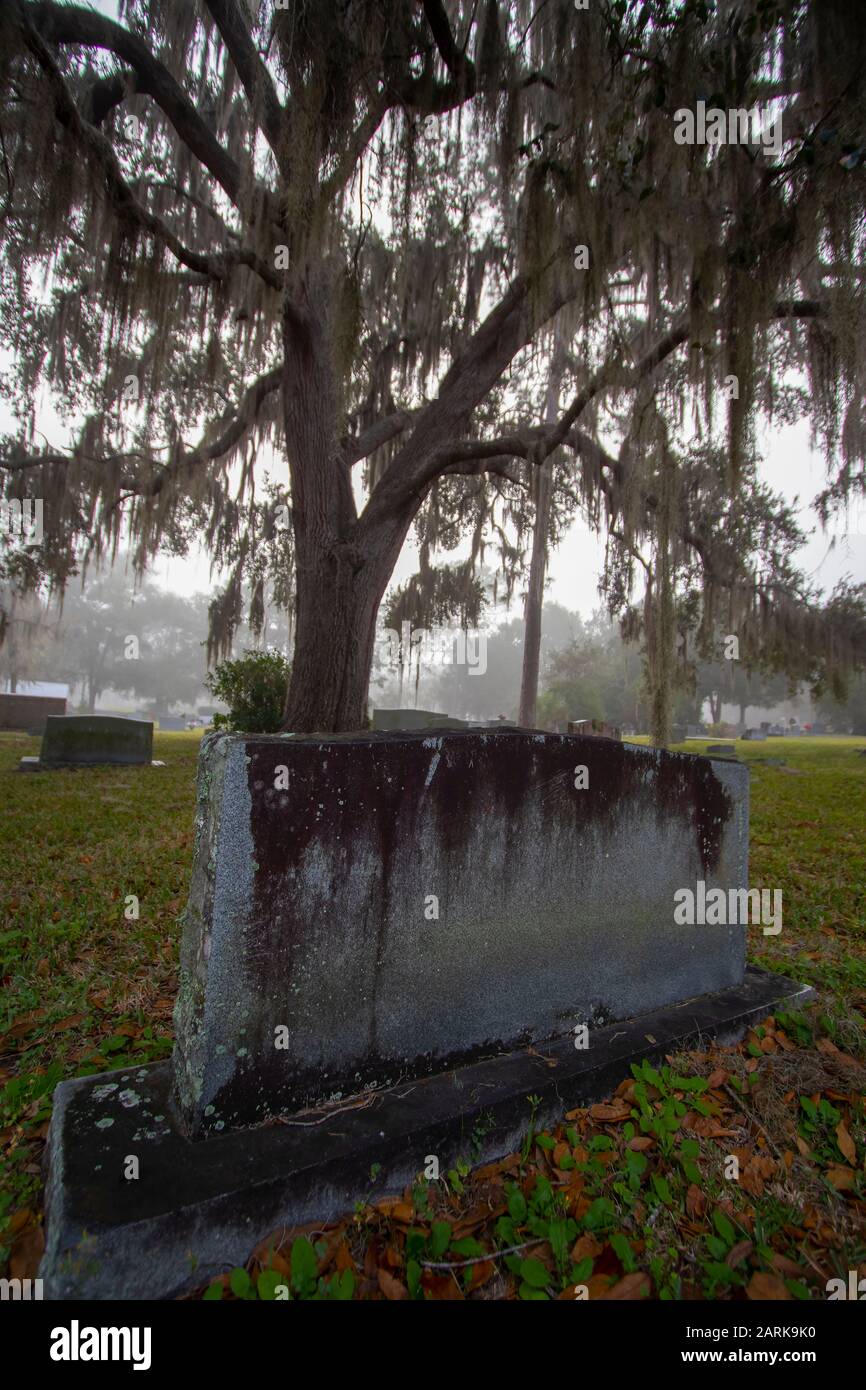 Thick fog through trees hi-res stock photography and images - Alamy