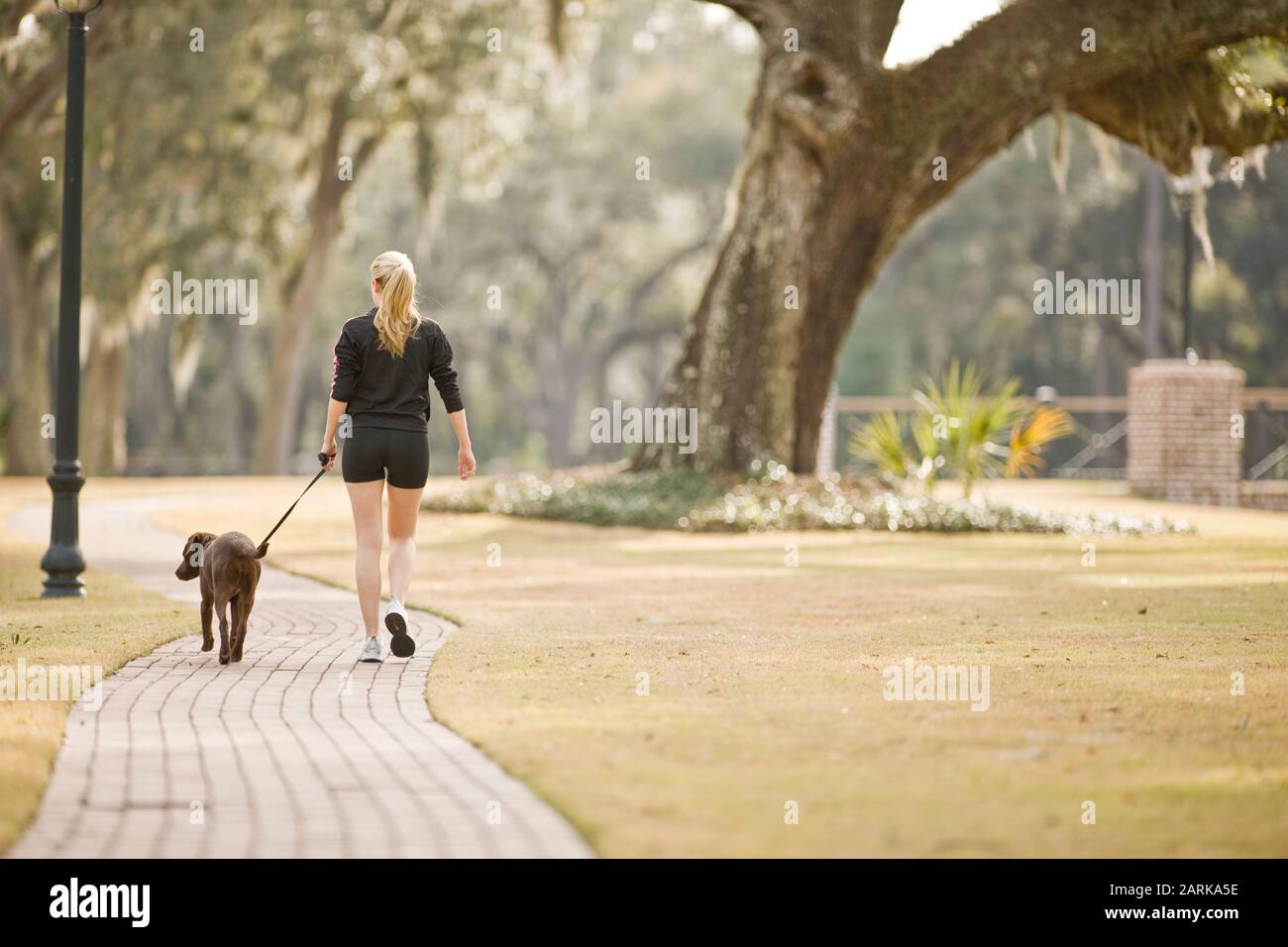 Young woman walking her dog along a path in a park Stock Photo - Alamy