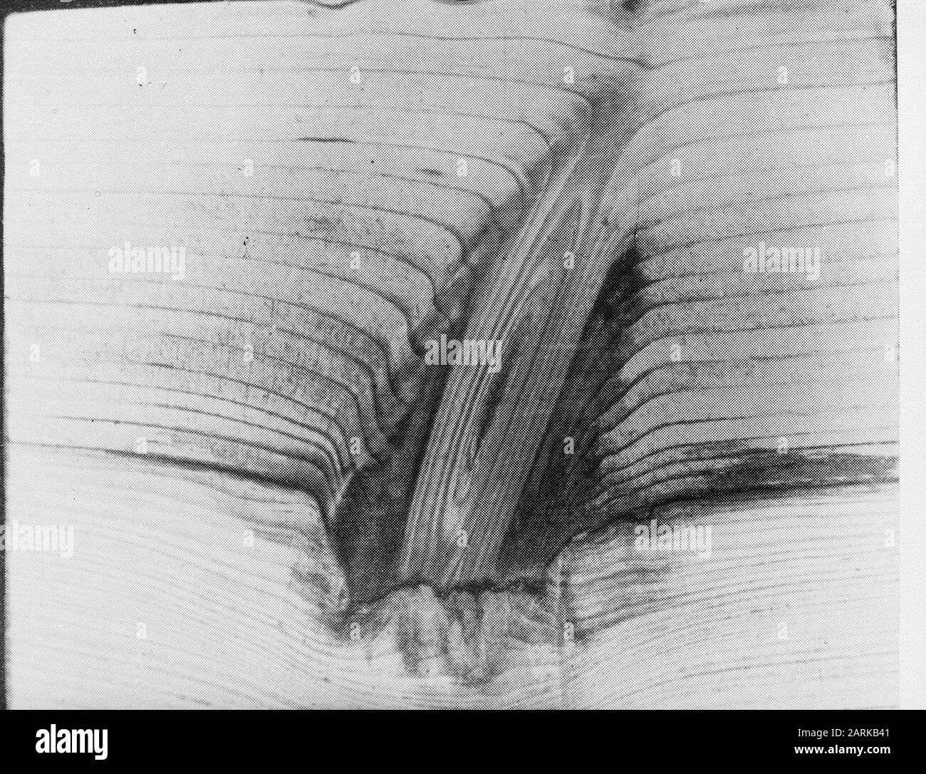 Meticulous restoration Black and White Stock Photos & Images - Alamy