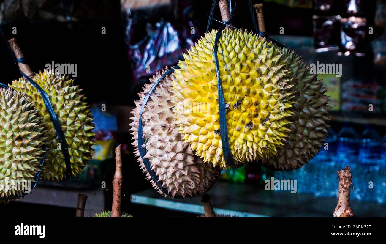 Large group of Durian Fruit from Indonesia Stock Photo