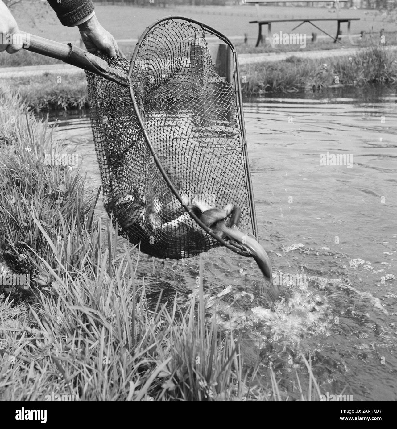 fishing, fish farms, trout, oxygen tanks, ponds, sidependaal Date May