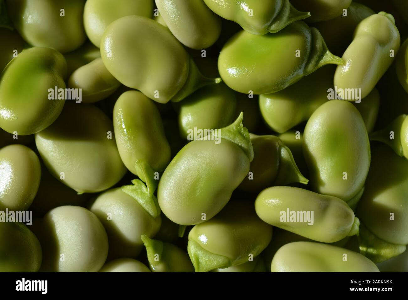 Broad beans, freshly shelled. Also known as fava beans Stock Photo Alamy
