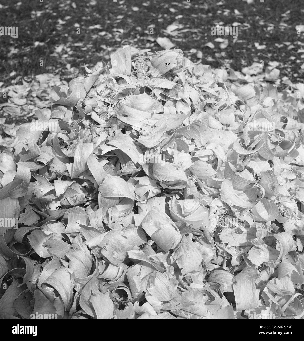 woodworking, wood shavings, overviews Date undated Keywords