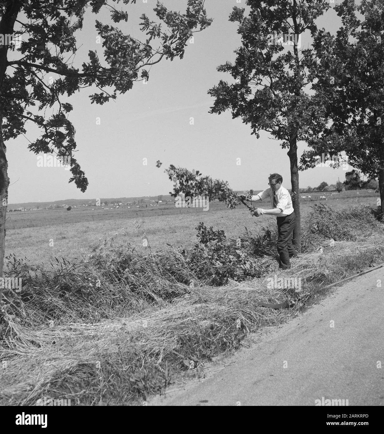 roads, trees, shrubs, workers, tools Date: undated Keywords: workers, trees, tools, shrubs, roads Stock Photo