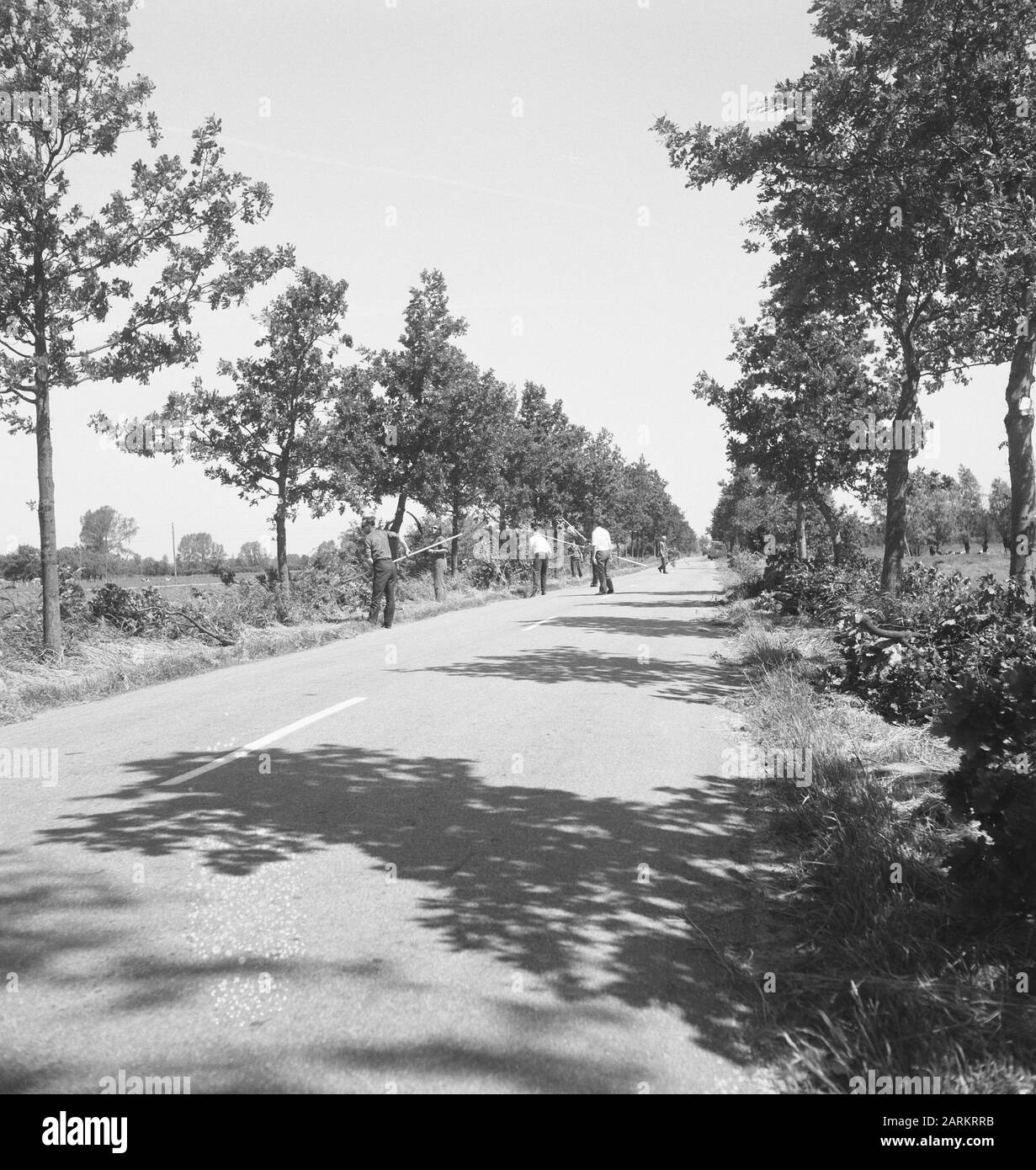 roads, trees, shrubs, workers, tools Date: undated Keywords: workers, trees, tools, shrubs, roads Stock Photo