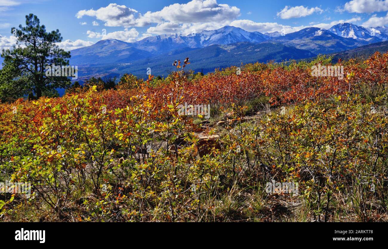 La Plata Mountain in Southern Colorado near Durango. Stock Photo