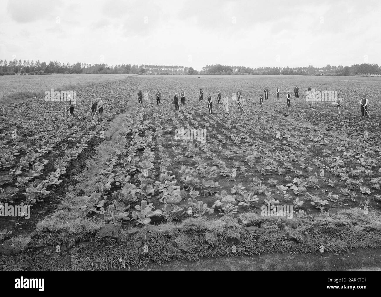 Vegetable growing soil Black and White Stock Photos & Images - Alamy