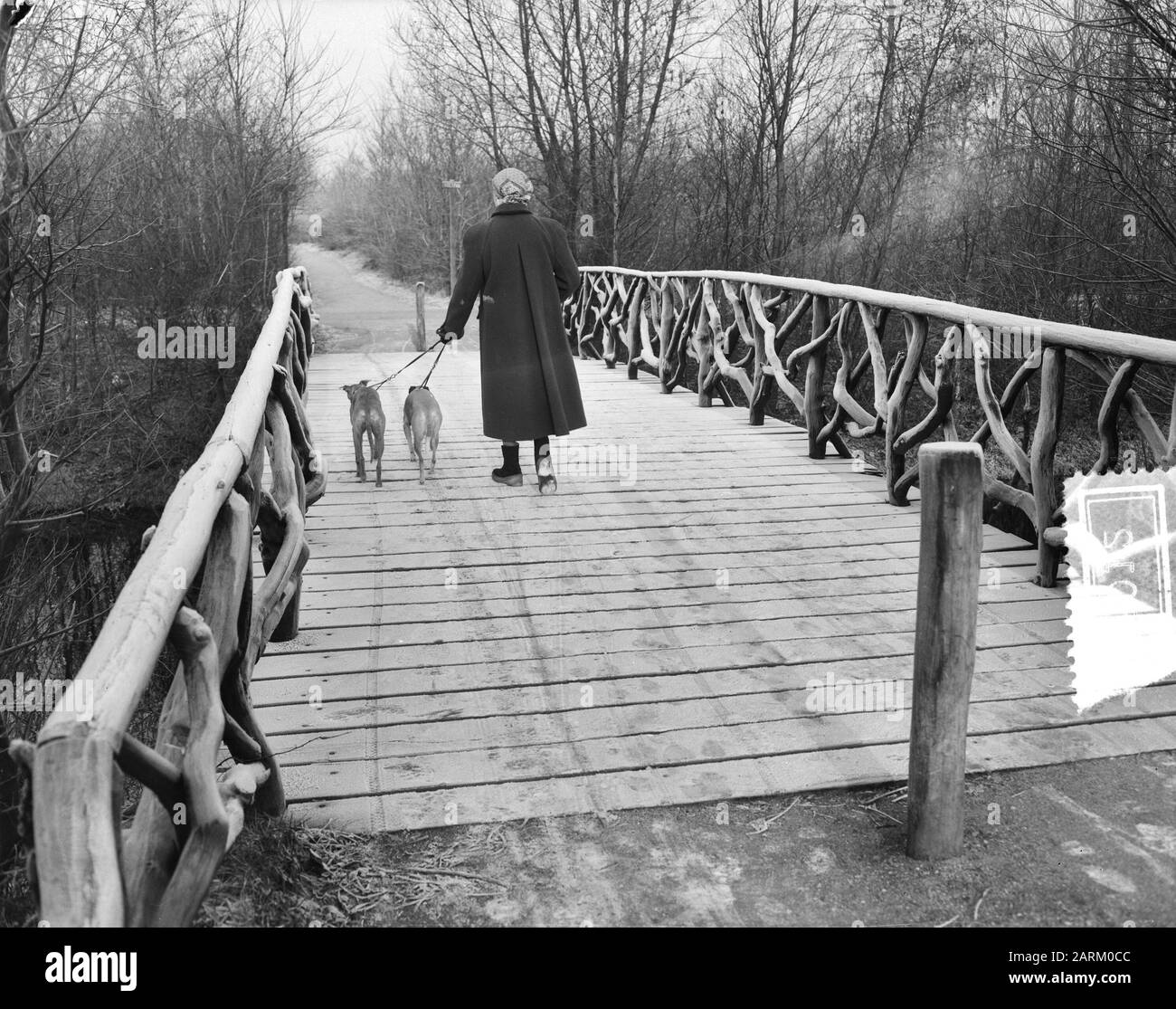 First frost in our country Haagse Bosch Date 13 December 1955