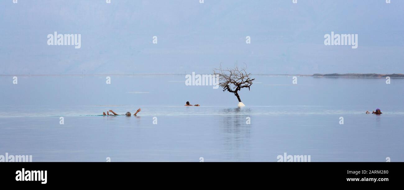 People floating beside the Dead Sea salt island tree Stock Photo