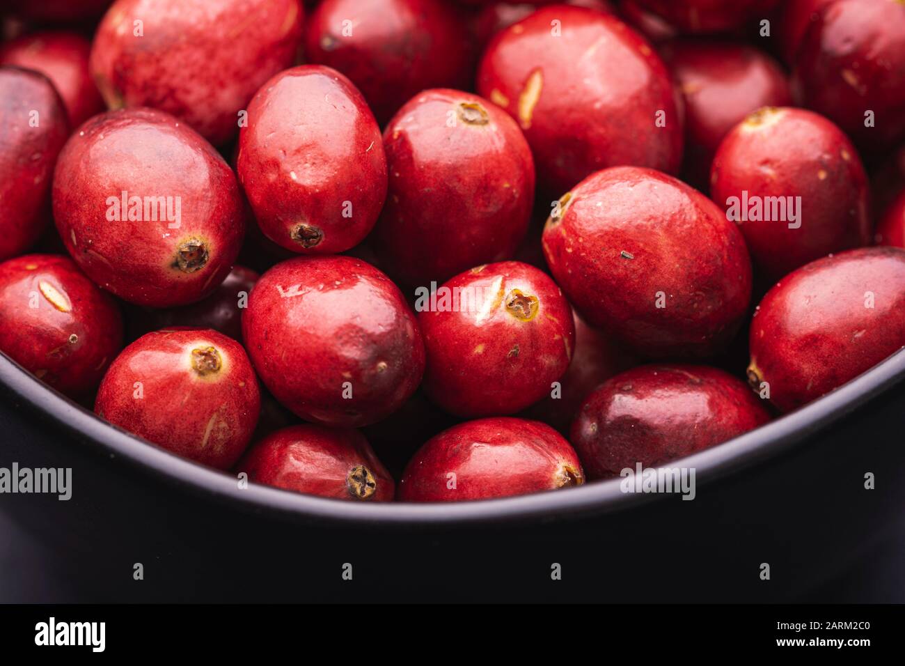 Close up of ripe red cranberries in a black bowl Stock Photo