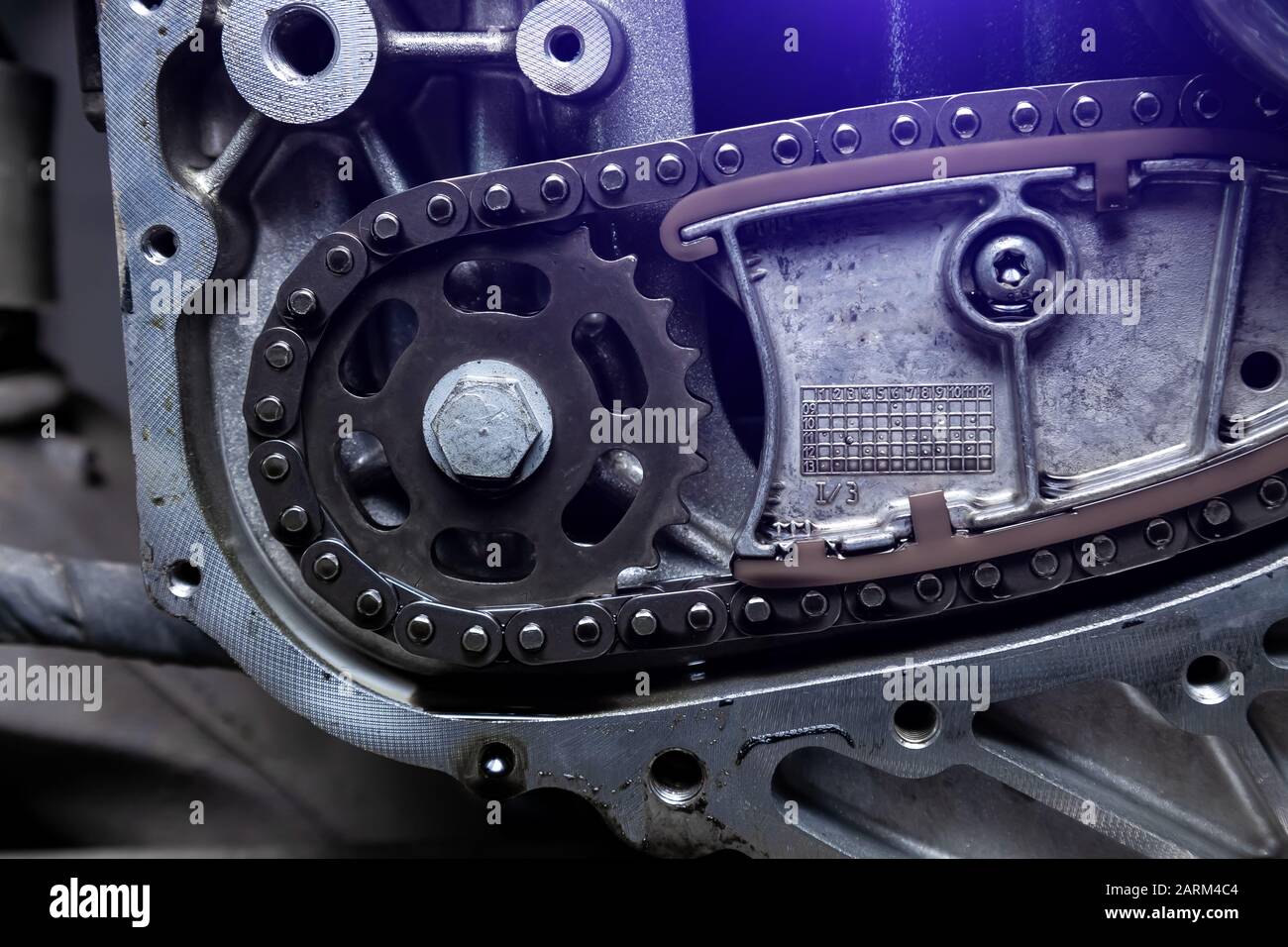 Gear, chain drive shaft in conveyor, belt is on production line. Timing chain of car, tensioners