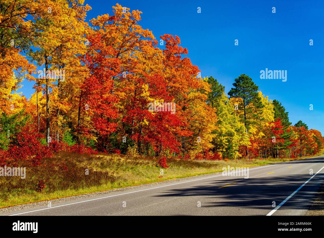 Brilliant fall foliage color in the trees and forests near Minoqua, Wisconsin, USA Stock Photo