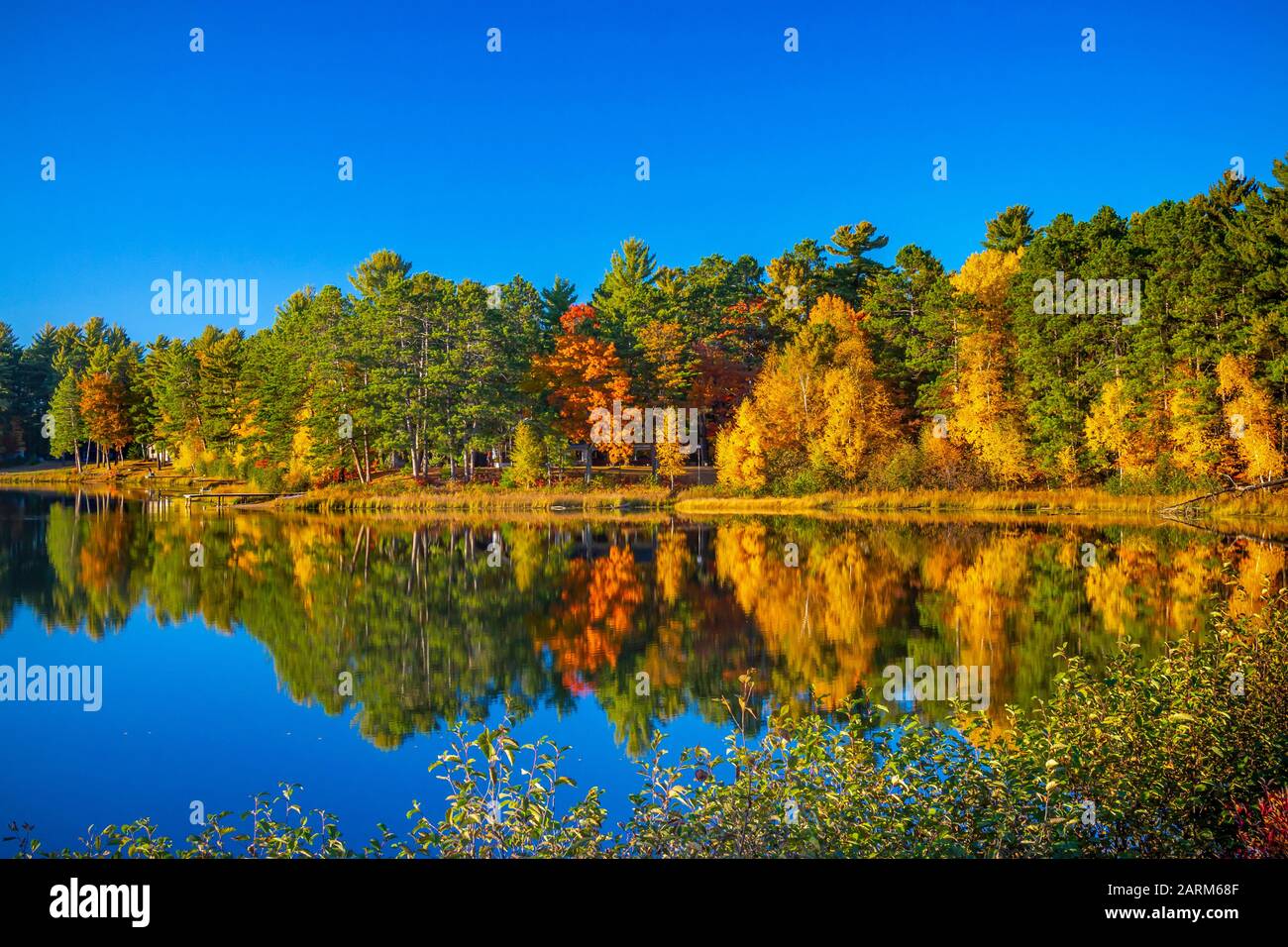 Brilliant fall foliage color in the trees and forests near Minoqua, Wisconsin, USA Stock Photo