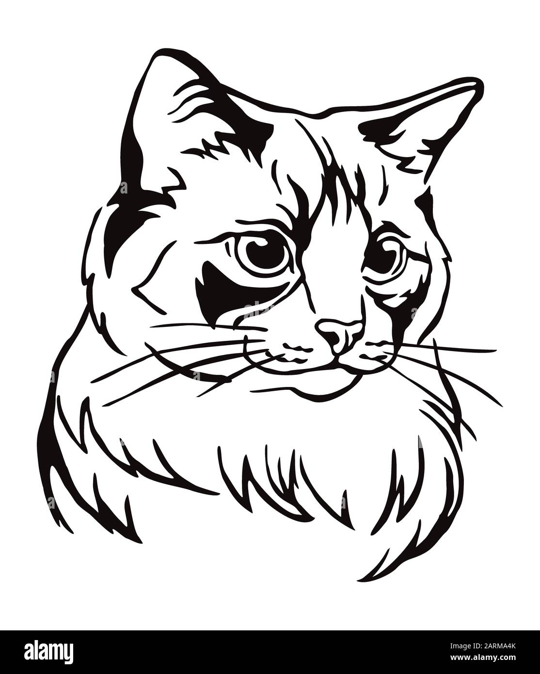 Decorative portrait of Ragdoll cat, contour vector illustration in black color isolated on white background. Image for design, cards and tattoo. Stock Vector