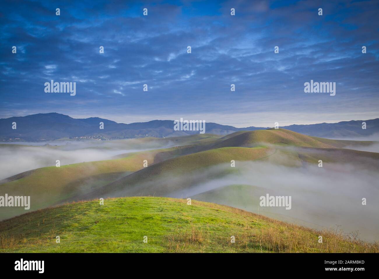 Morning low fog in San Ramon in Tri- Valley, California Stock Photo