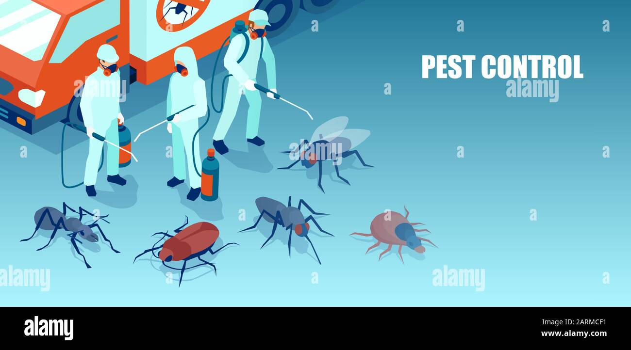 Vector of a pest control professional team exterminating insects Stock Vector