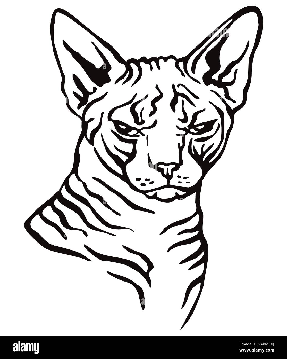 An Angry Cat Sitting On A White Background Outline Sketch Drawing