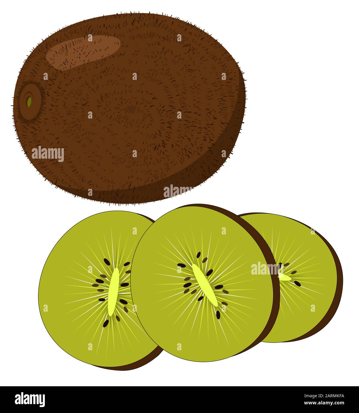 kiwi fruit, kiwi slices isolated on white background. Stock Vector