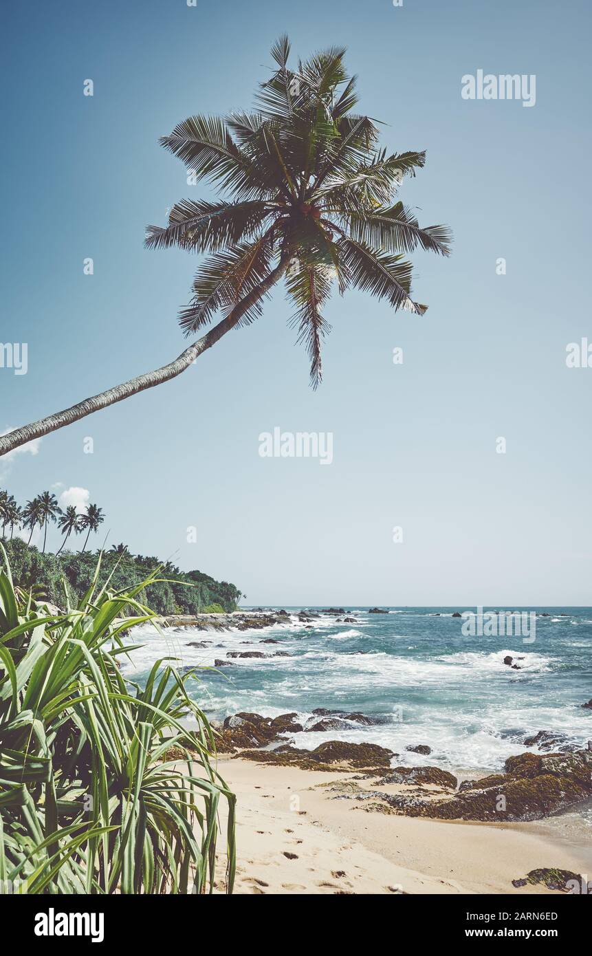 Tropical beach with coconut palm tree, retro colors toning applied, Sri Lanka. Stock Photo