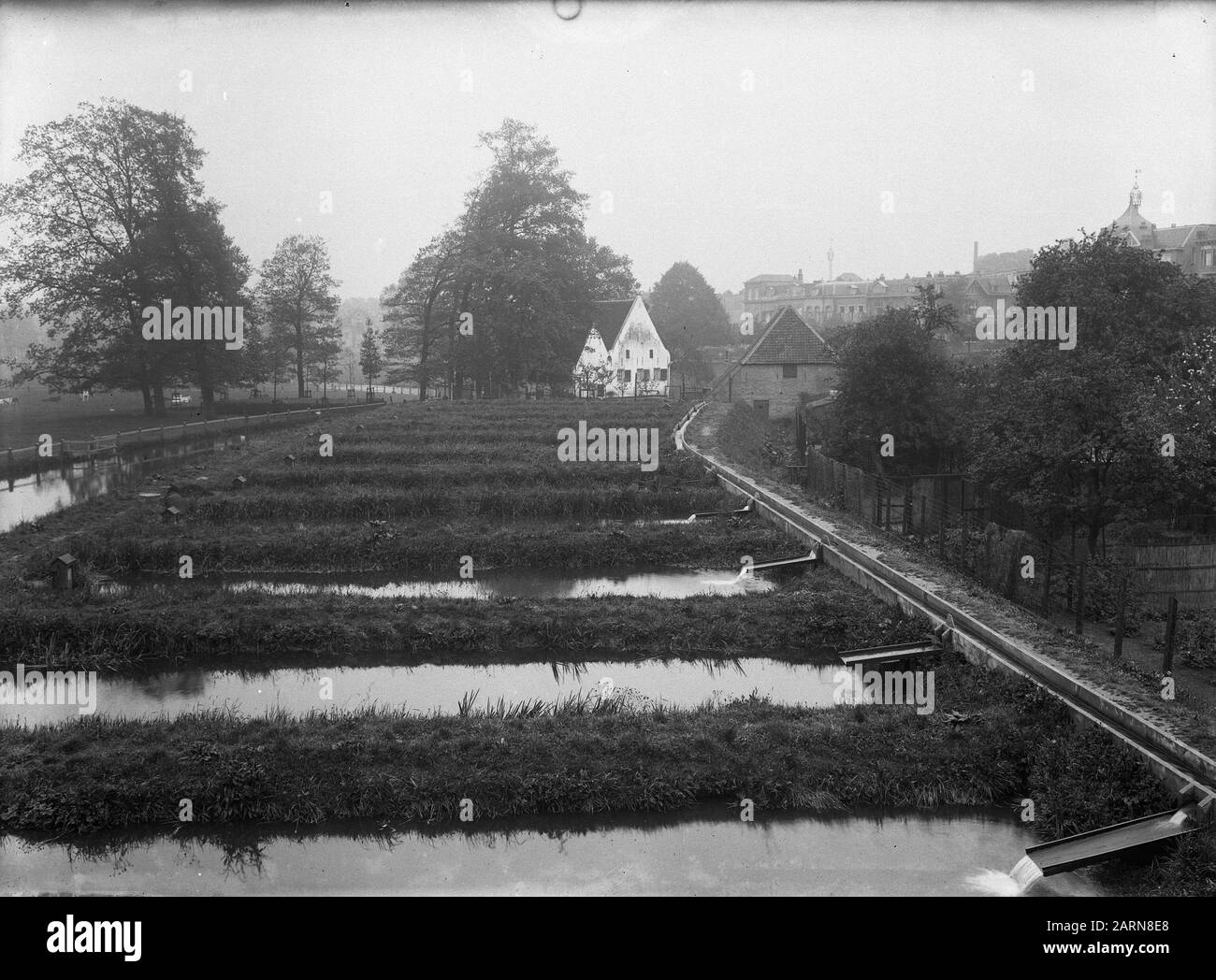 Fish Farm In Park Sonsbeek In Arnhem Breeding Ponds Date Undated Location Arnhem Keywords Breeding Ponds Fish Farms Fishing Stock Photo Alamy