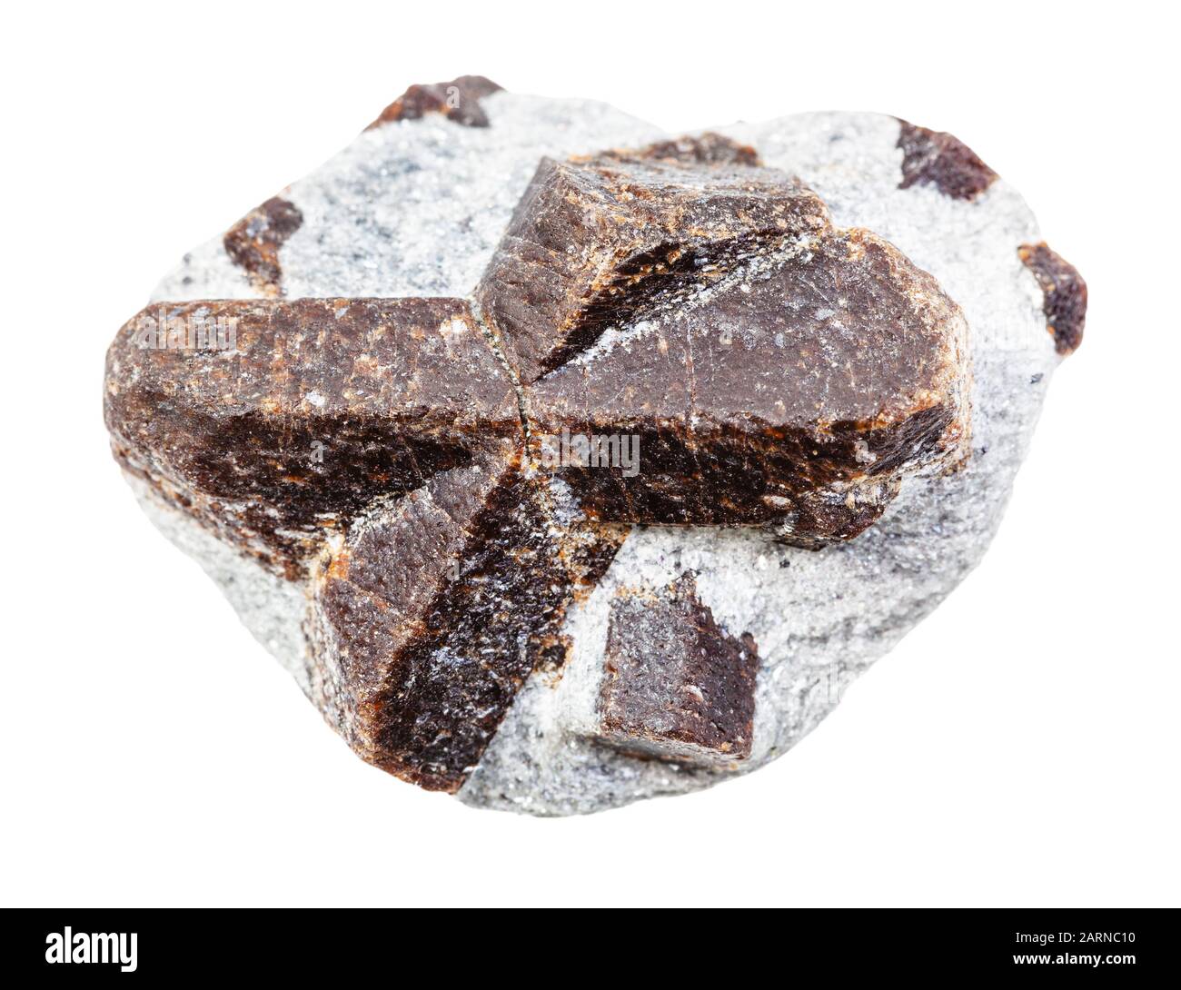 closeup of sample of natural mineral from geological collection - unpolished Staurolite in mica schist rock isolated on white background Stock Photo