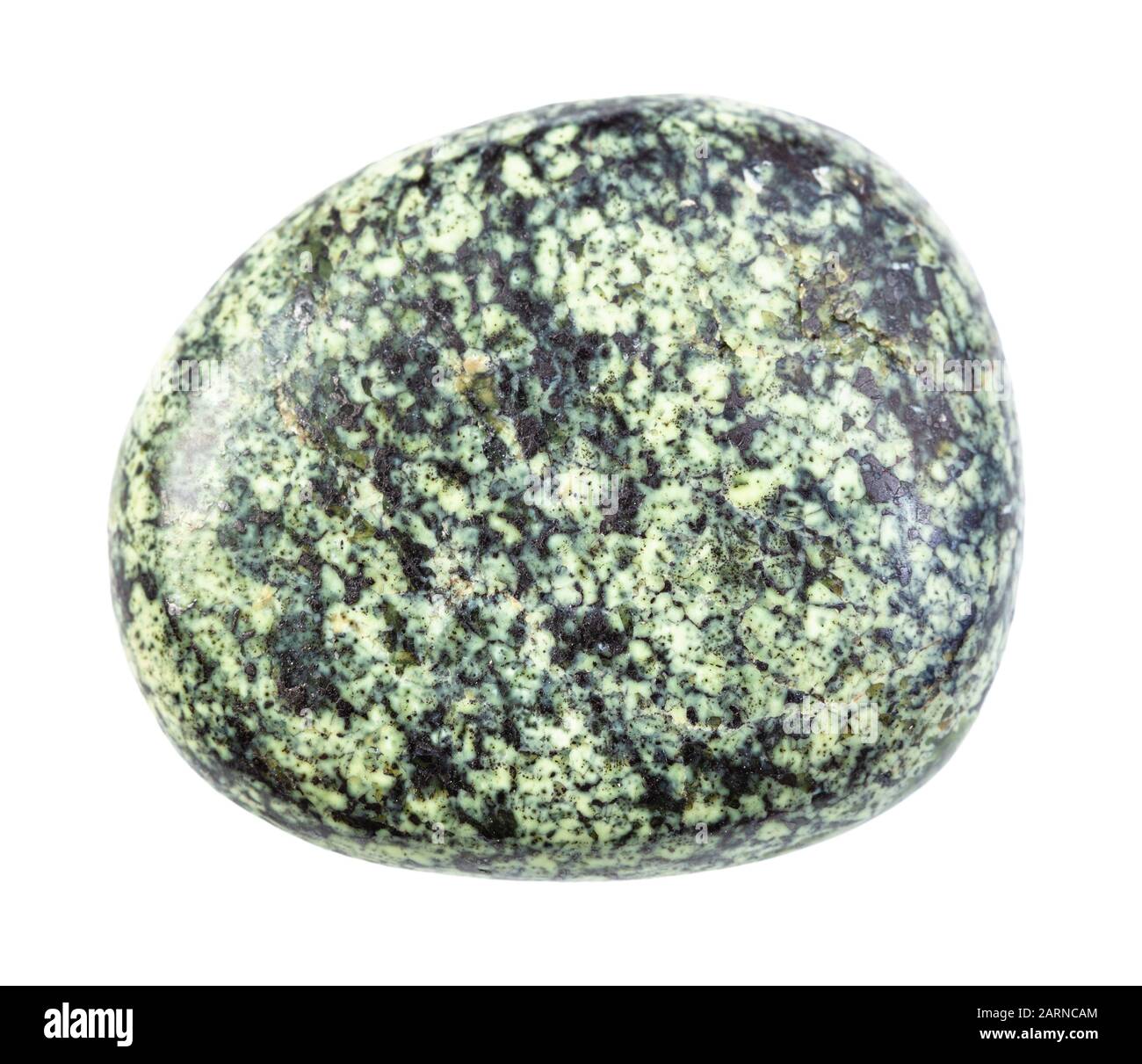 closeup of sample of natural mineral from geological collection polished serpentine gemstone