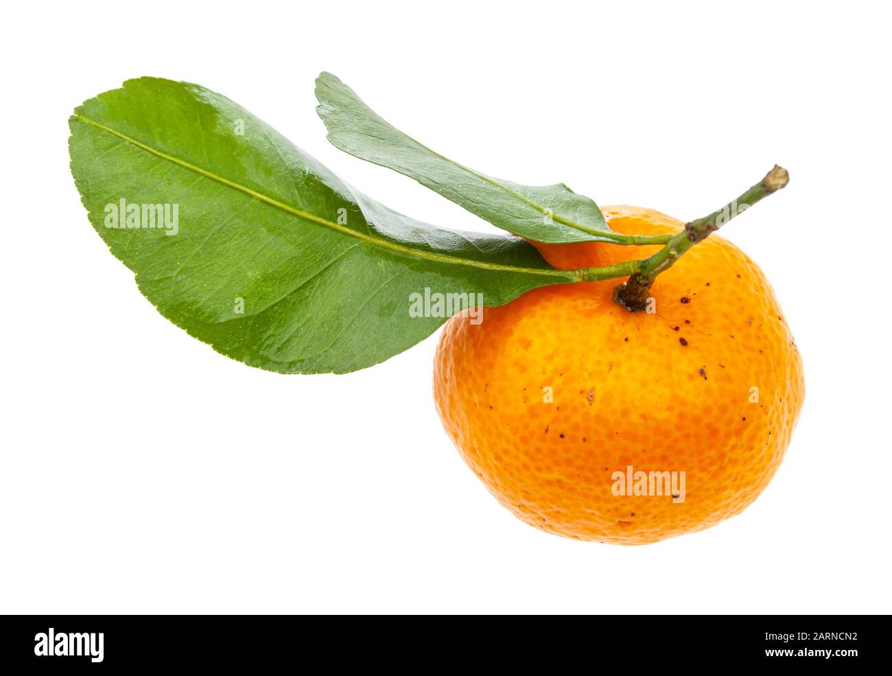 ripe fresh Abkhazian mandarine with green leaves isolated on white background Stock Photo