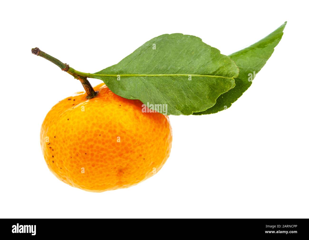side view of ripe fresh Abkhazian mandarine with green leaves isolated on white background Stock Photo