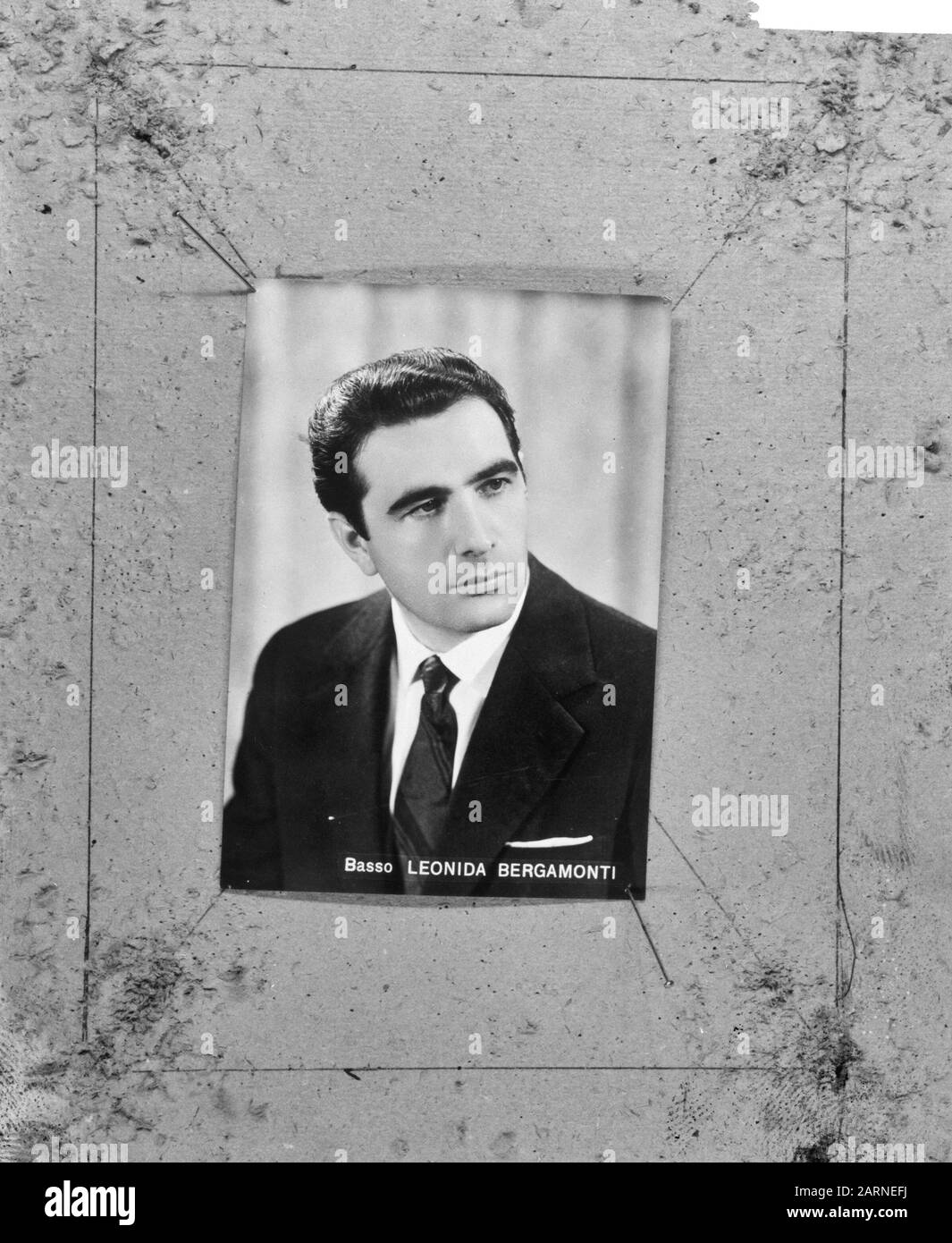 Leonida bergamonti Black and White Stock Photos & Images - Alamy