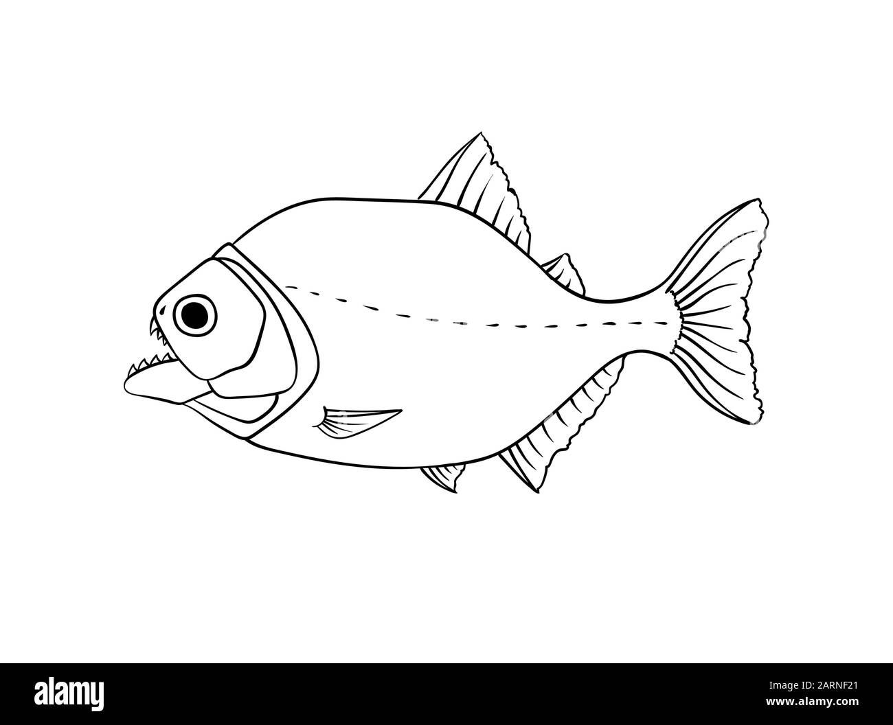 Piranha Cut Out Stock Images & Pictures - Alamy