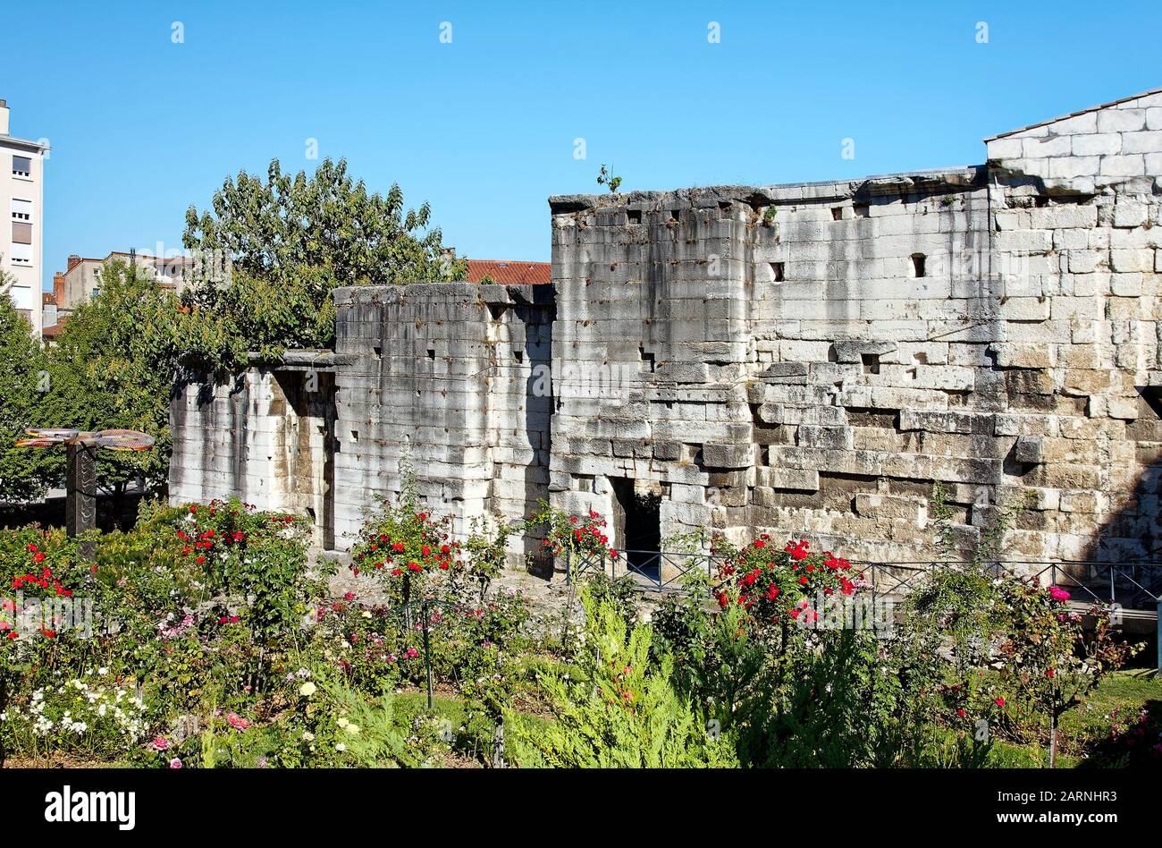 Cybele Archeological Garden, flowers, old Roman ruins, stone, ancient remains, contrasting textures, Vienne, France, summer, horizontal Stock Photo