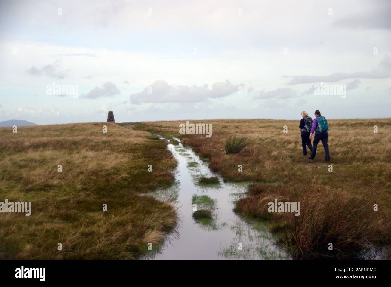 Two Women Walking next to Waterlogged Track to the Summit Cairn of the Wainwright 'Loadpot Hill' in the Lake District National Park, Cumbria, England. Stock Photo