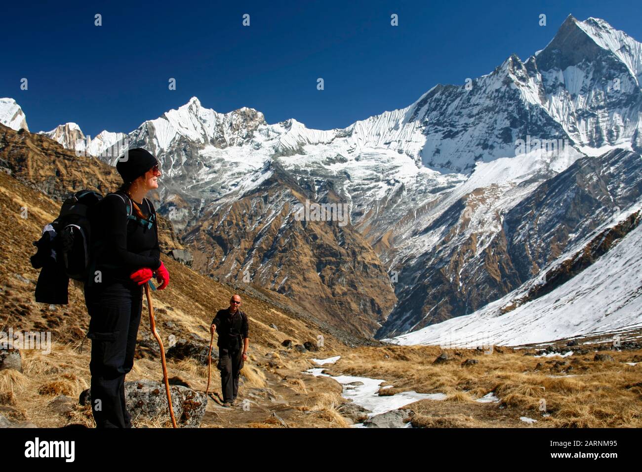 trekkers at the Annapurna mountain range in Nepal Stock Photo - Alamy