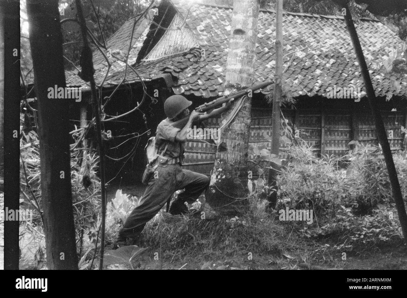 Action of the V-Brigade, Gadja Merah [the Red Elephant] in Bekal and surroundings  [A KNIL military has pointed his rifle up, along the trunk of a tree. Behind him a house] Date: 30 March 1949 Location: Bekal, Indonesia, Dutch East Indies Stock Photo