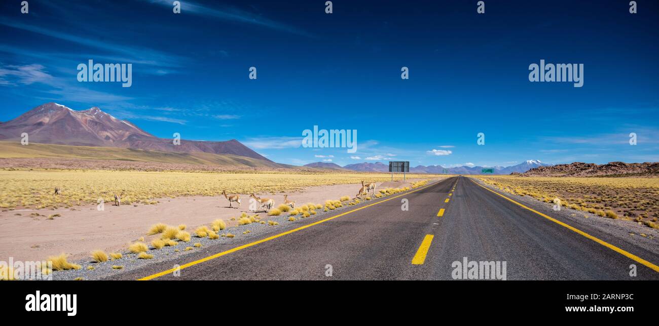 Road to infinity, plan your trip of life and never get lost. Stock Photo