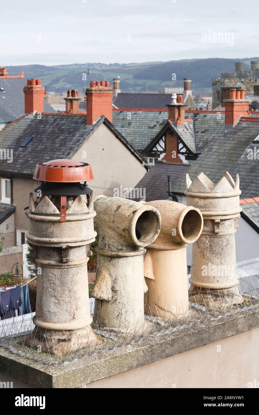 Chimney pots with ornate Victorian cowl on a rooftop in Conwy, Wales, UK Stock Photo