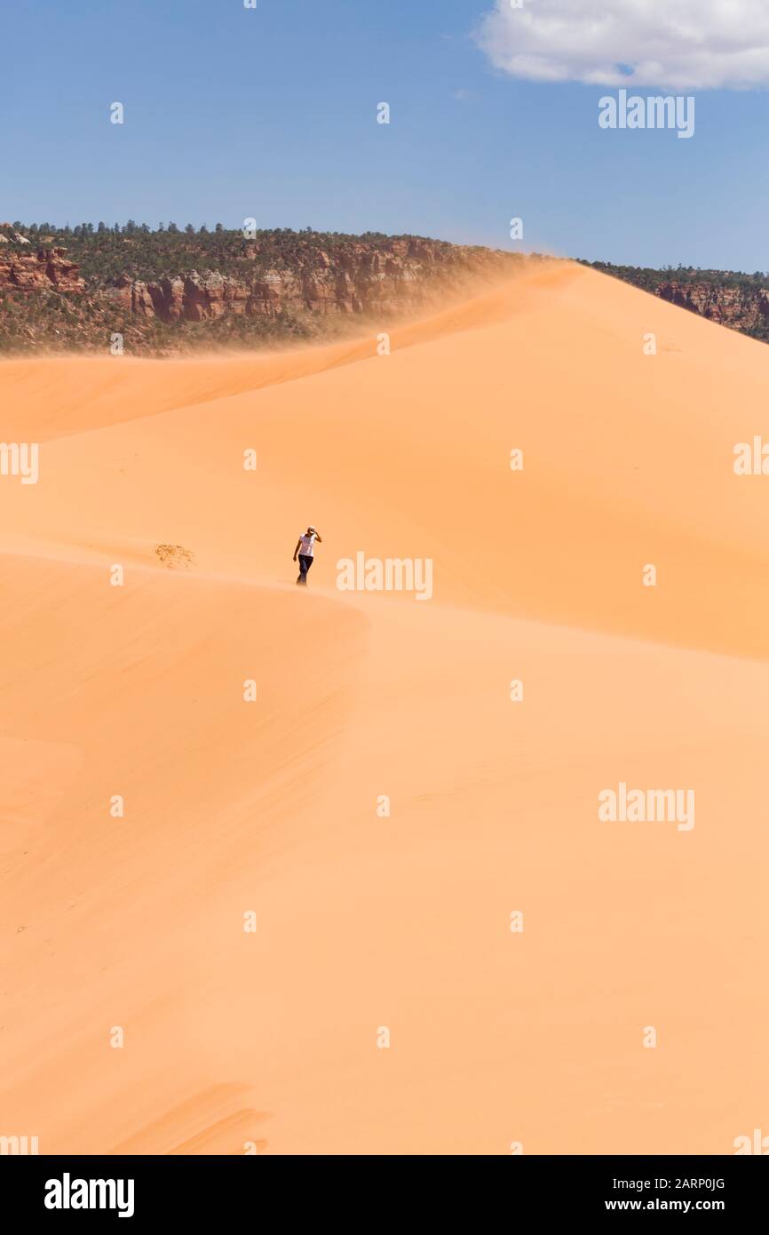 Asian Indian woman walks alone in high winds along a huge sand dune in Coral Pink Sand Dunes State Park, Utah, USA Stock Photo