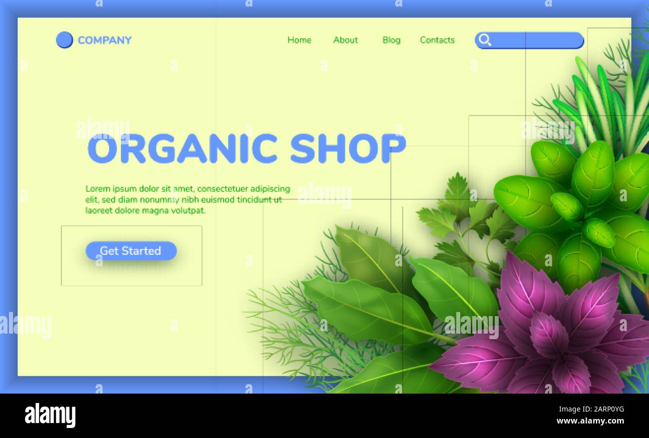 Web banner with realistic fresh herbs on white and blue background. Popular culinary plants, red and green basil, rosemary, parsley. Illustration for Stock Vector