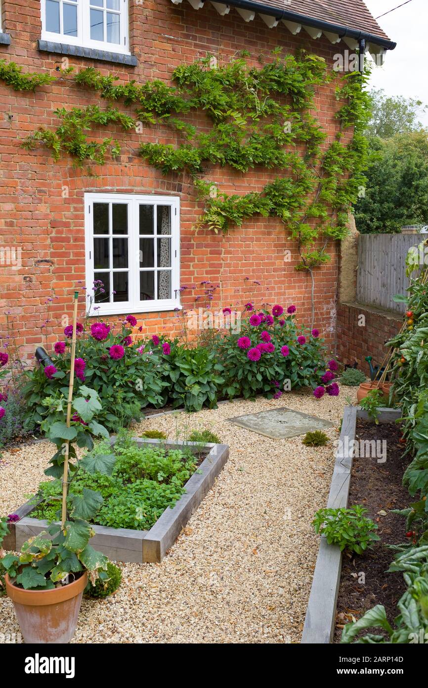 Small English courtyard garden in UK with oak sleeper raised beds, gravel, and a Victorian house Stock Photo
