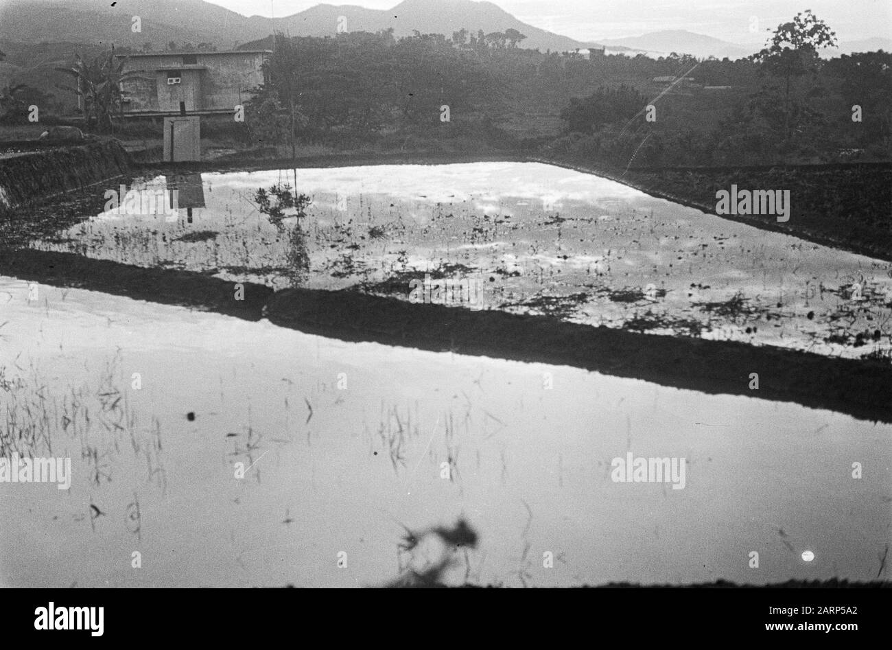 Dutch farming systems Black and White Stock Photos & Images - Alamy